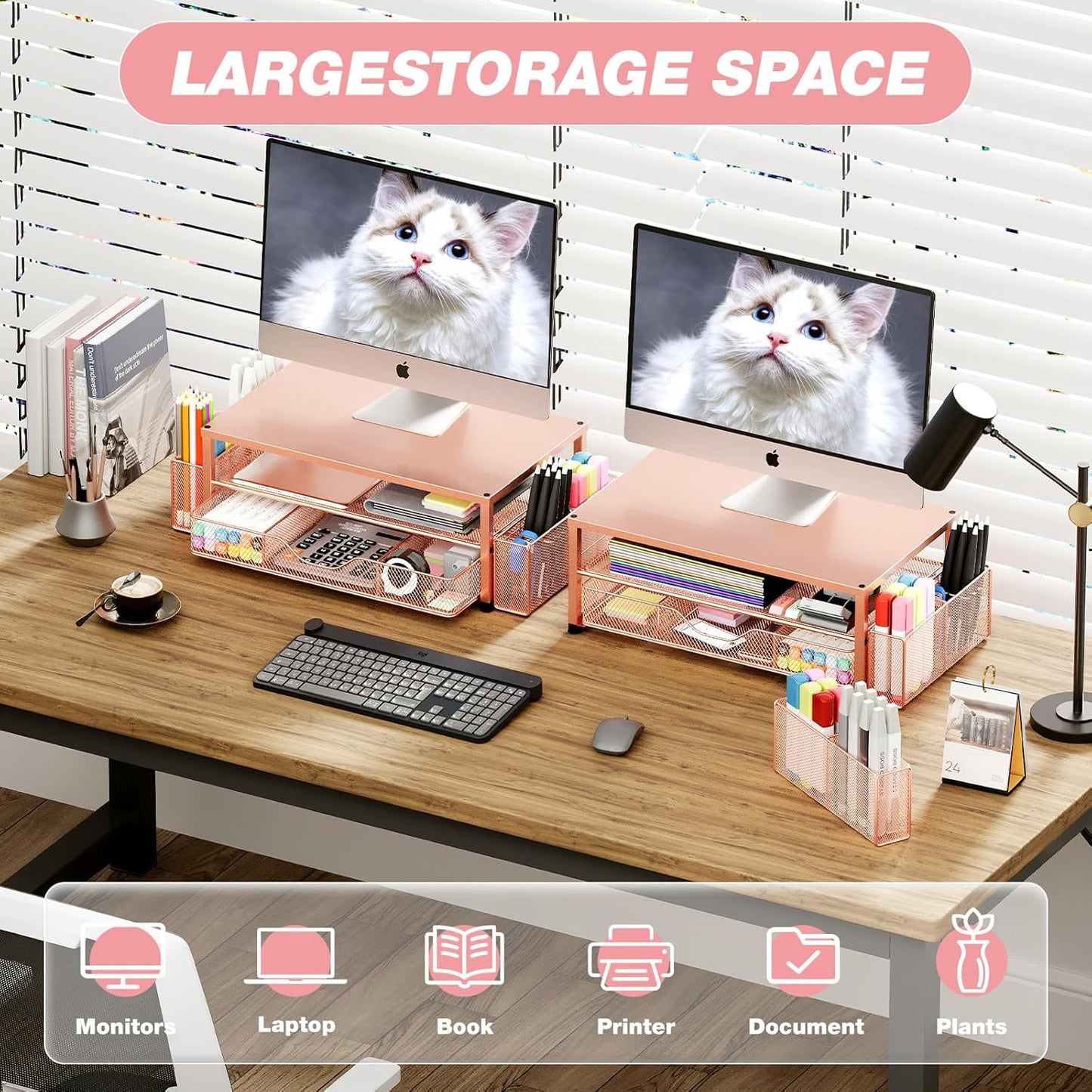 Desk Organizers and Accessories, 2-Tier Computer Monitor Stand with Drawer and 2 Pen Holders, Office Desk Accessories for Office Supplies, Rose Gold