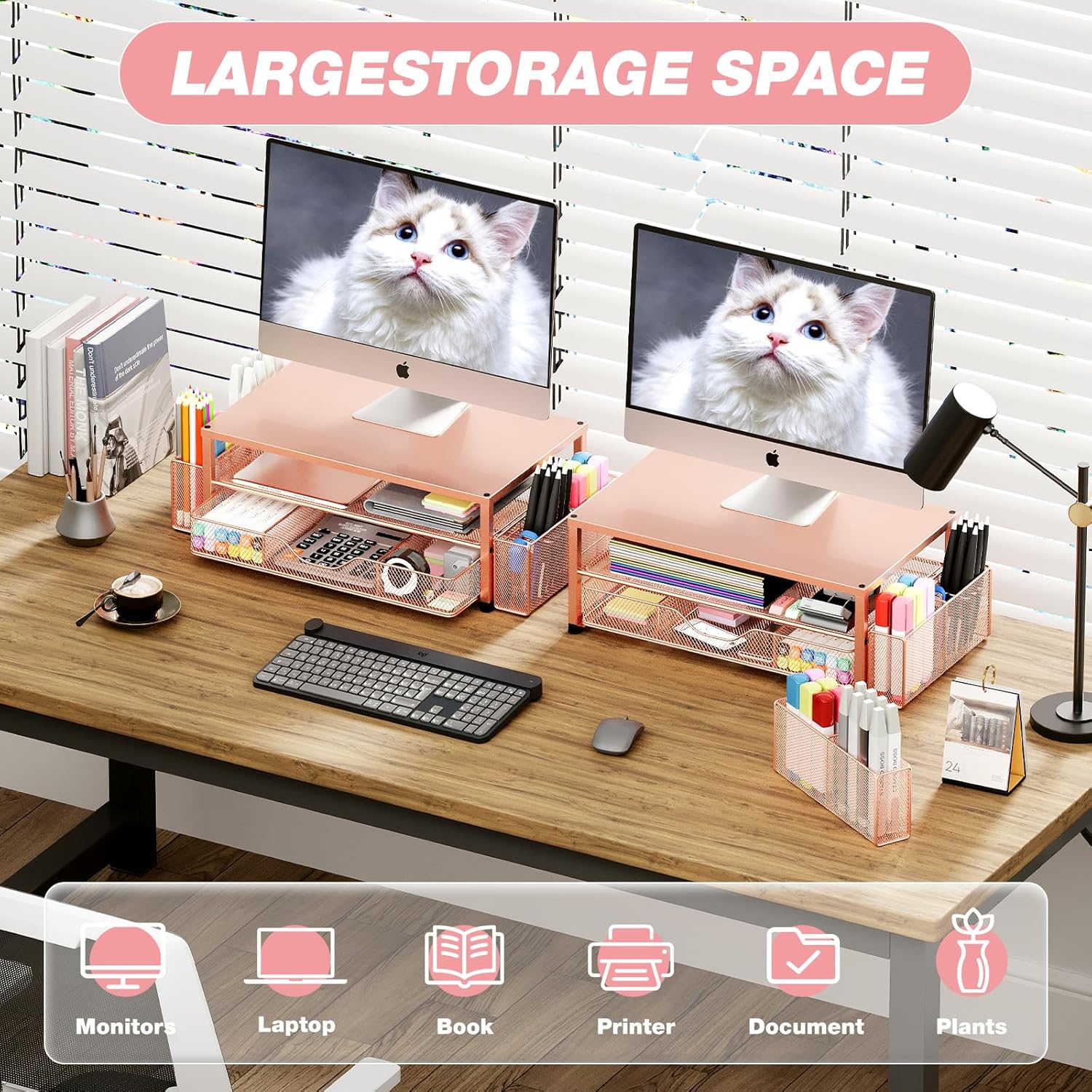 Desk Organizers and Accessories, 2-Tier Computer Monitor Stand with Drawer and 2 Pen Holders, Office Desk Accessories for Office Supplies, Rose Gold